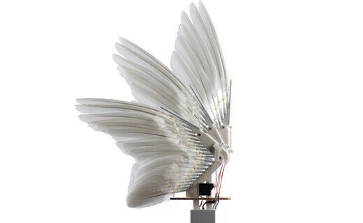 В создании дрона последнего поколения ученые из Стэнфорда использовали крылья с настоящими голубиными перьями