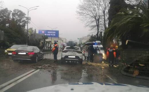 На улице Горького в Сочи дерево рухнуло на проезжавший автомобиль каршеринга