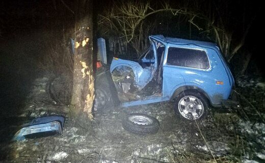 В Мостовском районе водитель ВАЗ-2121 не справился с управлением, съехал с дороги и врезался в дерево