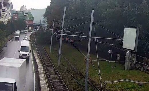 В Краснодаре в районе Вишняковского сквера на трамвайные рельсы упало дерево