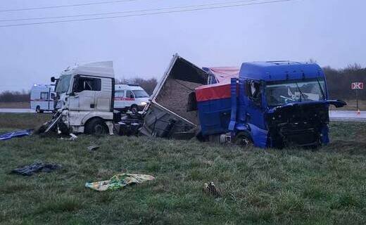 Два грузовика и легковушка столкнулись в Абинском районе Кубани на автодороге А-146