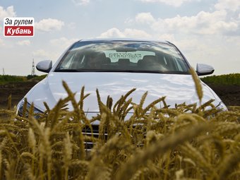Hyundai предупреждает США об угрозе со стороны китайских автопроизводителей