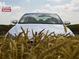 Hyundai предупреждает США об угрозе со стороны китайских автопроизводителей