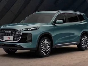 Российская марка Tenet оказалась в лидерах авторынка