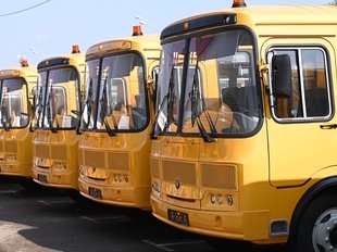 ﻿Краснодар получил 20 новых школьных автобусов