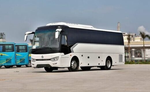 Сервисная кампания затрагивает 52 автобуса марки Golden Dragon типа XML6957 модификации XML6957JR