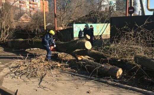 Инцидент произошёл вчера вечером, 6 декабря, на ул.Шевцова в посёлке Краснодарский