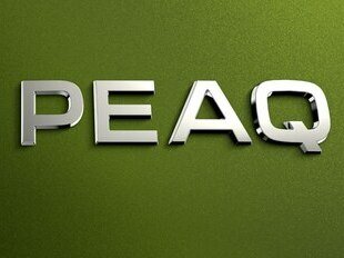 Skoda назвала новый электрический 7-местный кроссовер Peaq