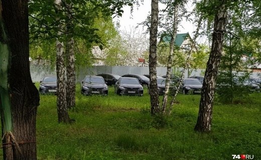 56 Toyota Camry почти на 120 миллионов рублей стоят прямо под открытым небом близ озера Смолино