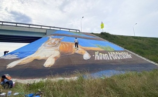 Главную автодорогу полуострова украсили граффити