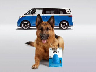 Компания Volkswagen выпустила ограниченную серию игрушек для собак