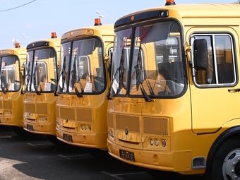 ﻿Краснодар получил 20 новых школьных автобусов