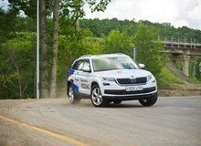 Подорожали модели Octavia, Superb, Rapid в кузове лифтбек, а также кроссовер Kodiaq