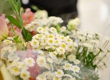 Желаем здоровья, счастья, океан любви, радости, улыбок и вечной весны