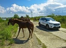 Согласно результатам исследований «Автостат» пальма первенства в феврале 2017 года досталась SUV