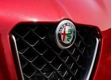 По предварительной информации построят Alfa Romeo Castello на платформе от кроссовера Stelvio