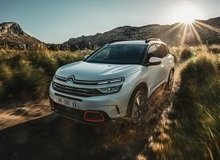 Французы представили