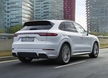 Прогнозируется, что кожа из Брянской области также пойдёт на отделку салонов самолётов