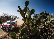 Итоги первой части третьего этапа чемпионата мира по ралли Rally Mexico напоминают гонки года эдак 2007