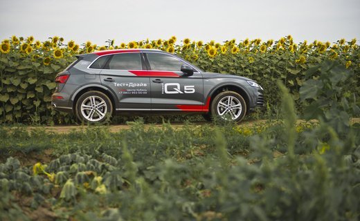 Новое поколение Audi Q5 обновилось практически полностью