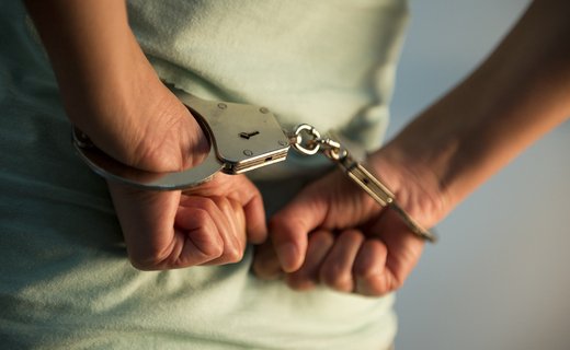 Преступникам грозит лишение свободы на срок до семи лет