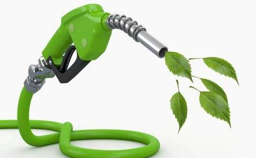 Экологическим продуктом, названным 1G, индийские ученые намерены полностью заменить традиционное топливо.