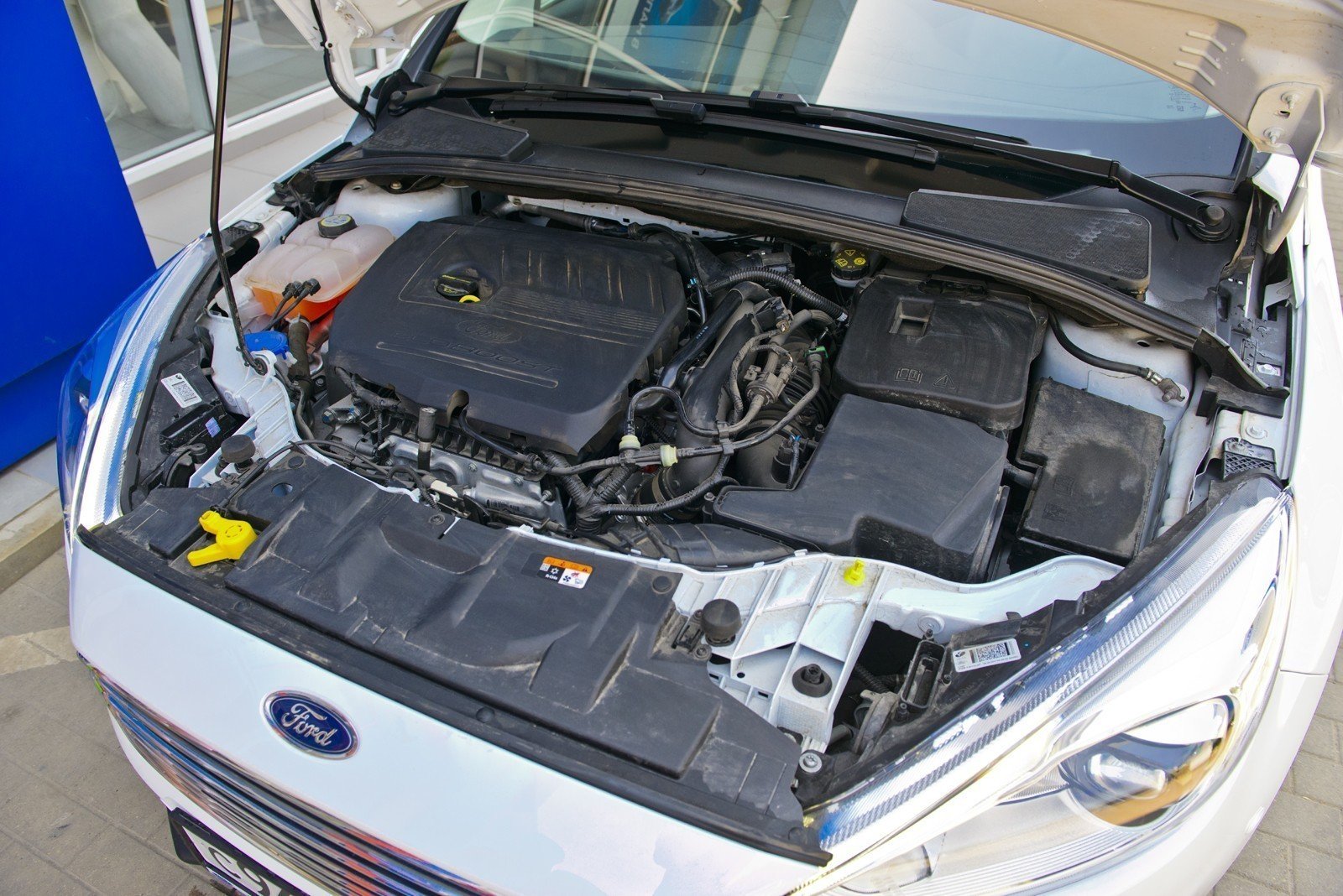 1.5-литровый турбомотор EcoBoost выдает 150 лошадей даже на 92-м бензине. Вот только доступен этот двигатель только для Titanium. Комплектации помладше оснащаются 1.6-литровым дизелем мощностью 85, 105 или 125 л.с. в связке либо с МКПП-5, либо шестиступенчатым  автоматом  PowerShift.